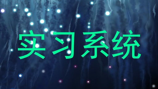 实习系统