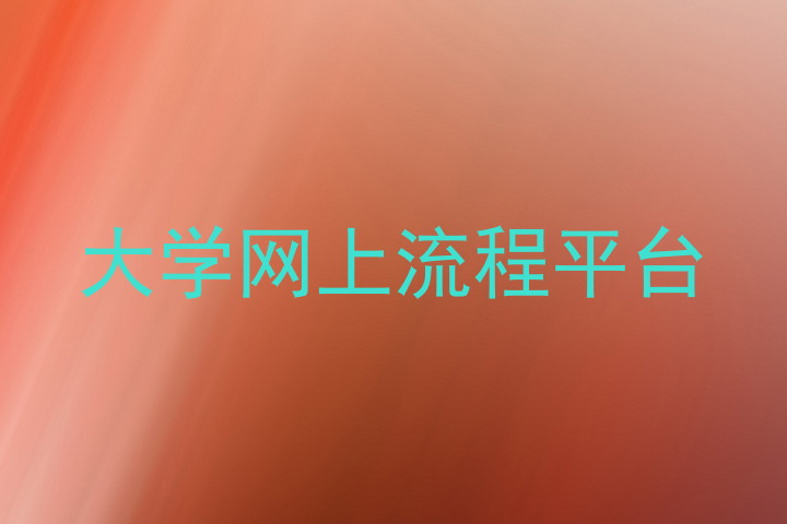 大学网上流程平台