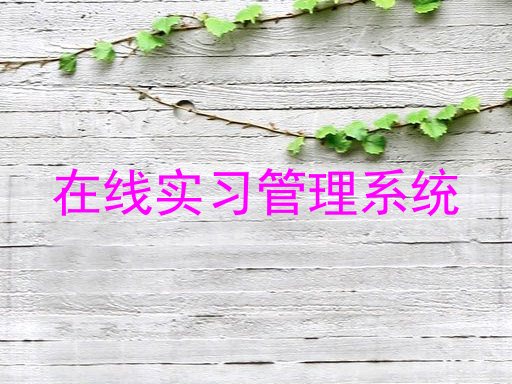 在线实习管理系统