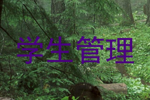 学生管理