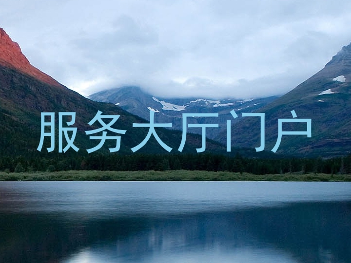 服务大厅门户