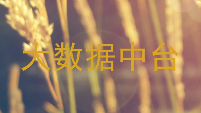 大数据中台