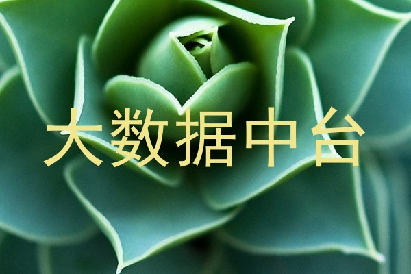 大数据中台