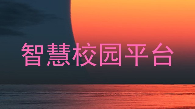 智慧校园平台