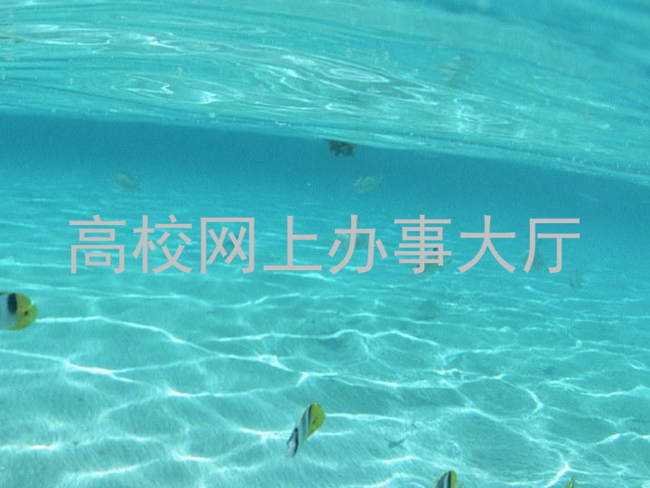 高校网上办事大厅