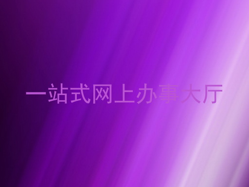 一站式网上办事大厅