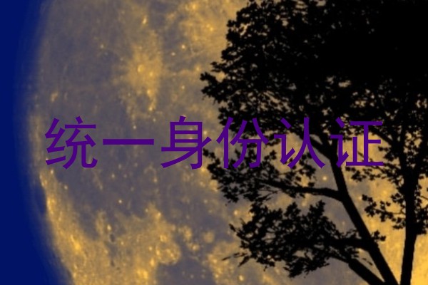 统一身份认证