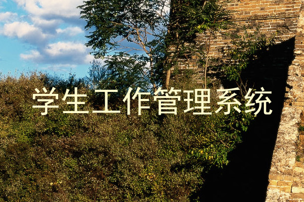 学生工作管理系统