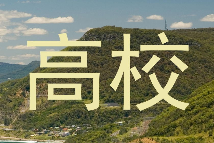 高校