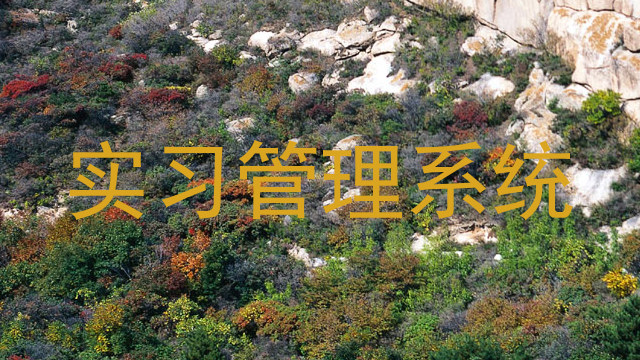 实习管理系统