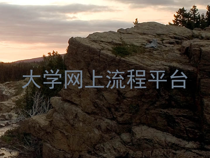 大学网上流程平台