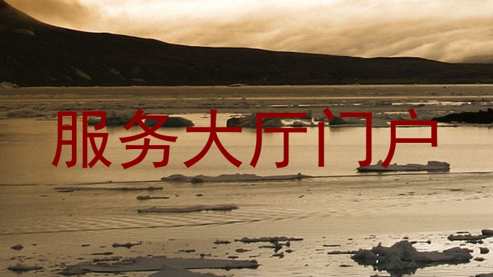 服务大厅门户