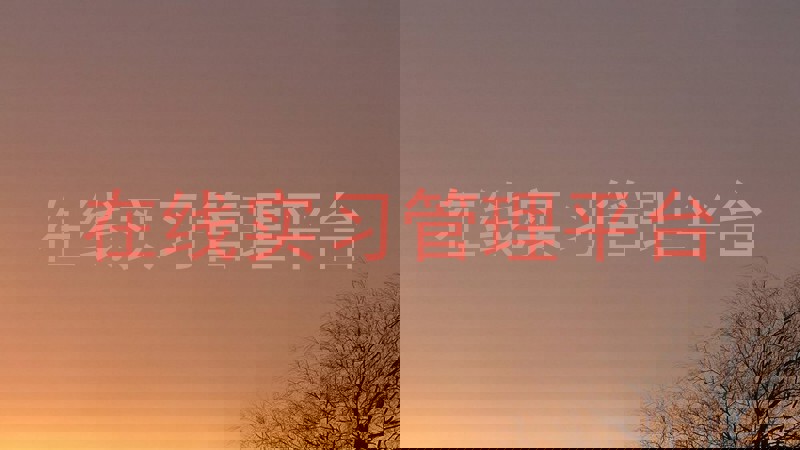 在线实习管理平台