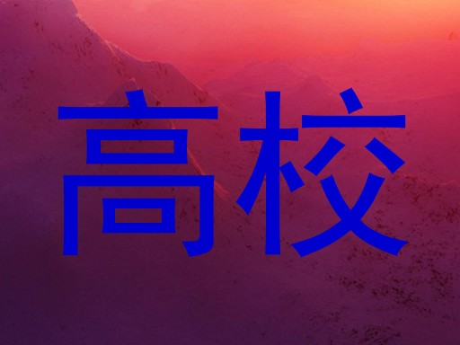 高校