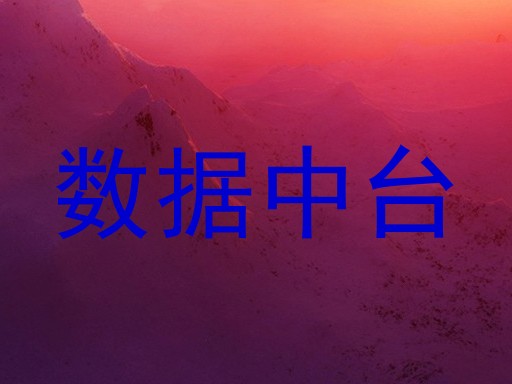数据中台