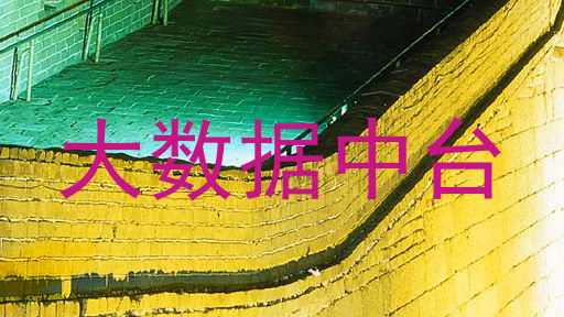 大数据中台