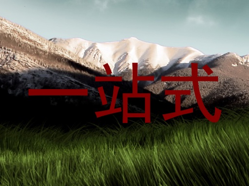 一站式