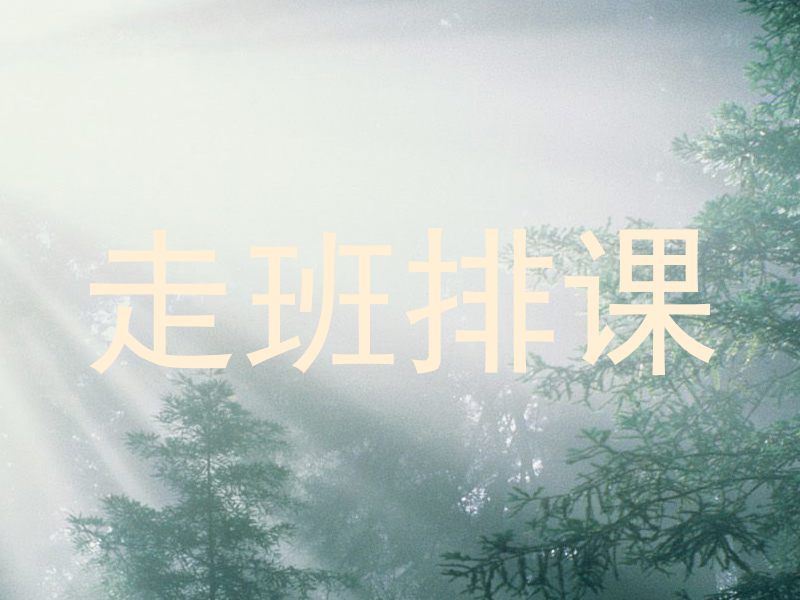 走班排课