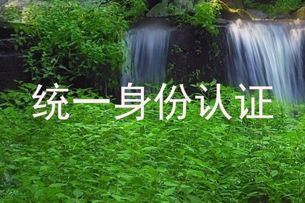 统一身份认证