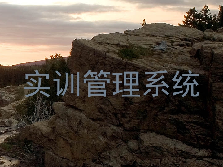 实训管理系统
