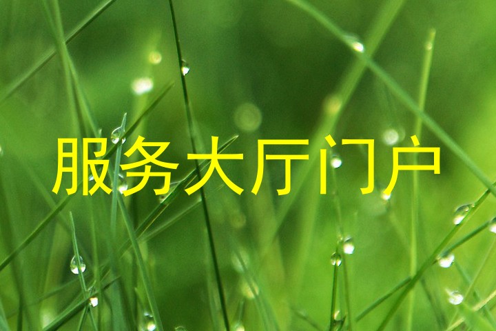 服务大厅门户