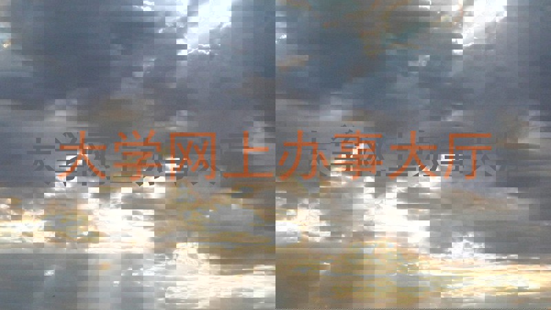 大学网上办事大厅