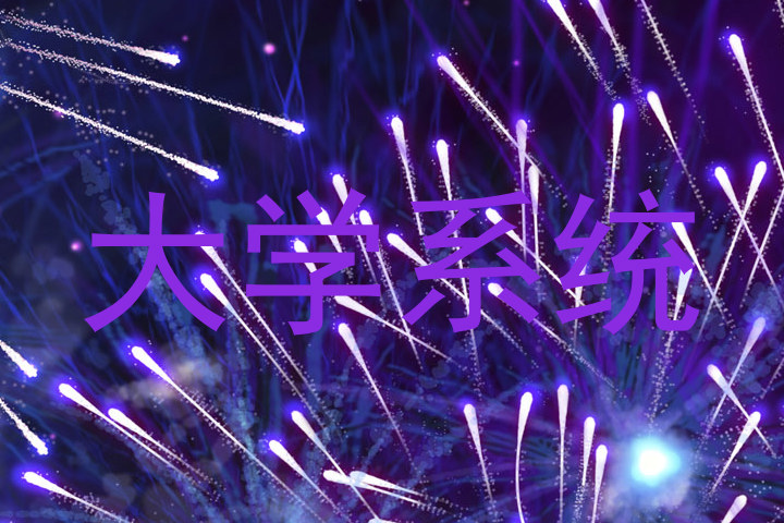 大学系统