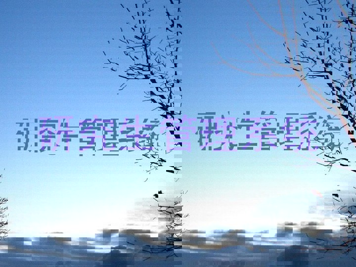 研究生管理系统