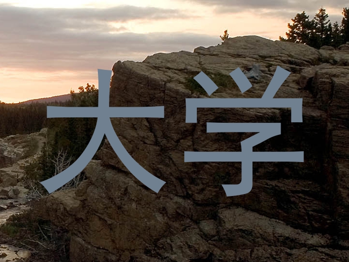 大学