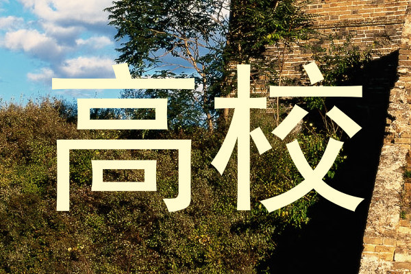 高校