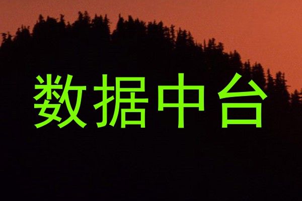 数据中台