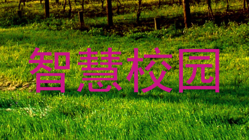 智慧校园