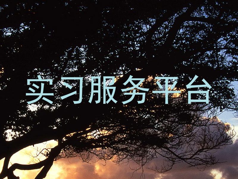 实习服务平台