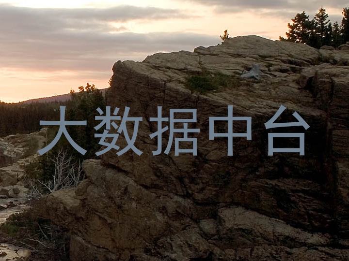 大数据中台