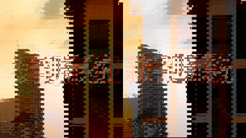 数字迎新系统