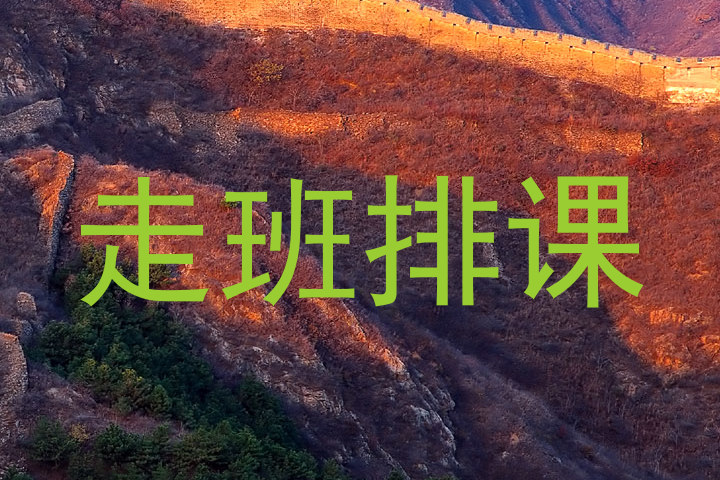 走班排课