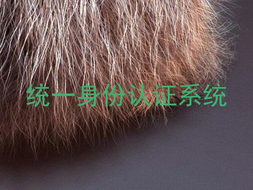统一身份认证系统
