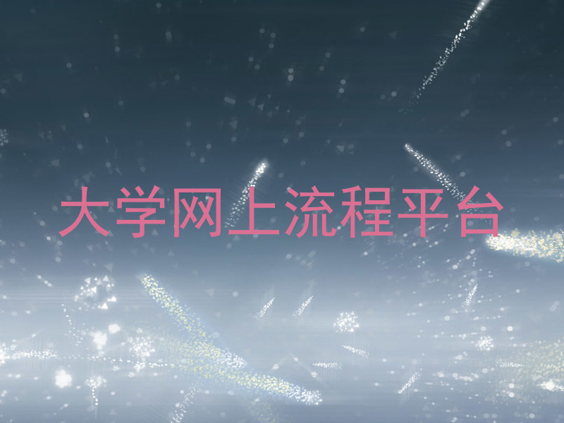 大学网上流程平台