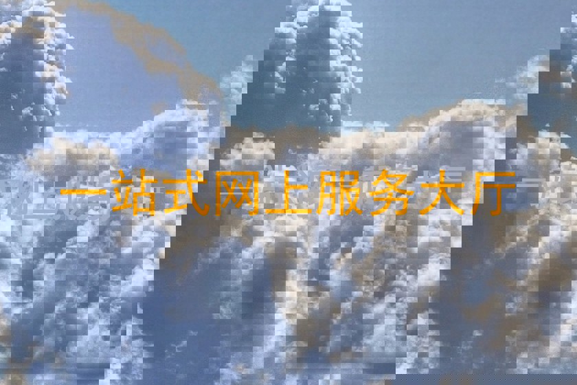 一站式网上服务大厅