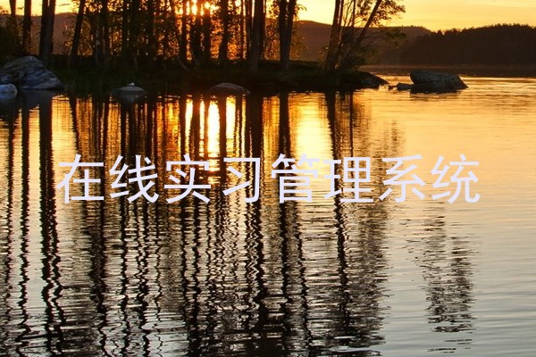 在线实习管理系统