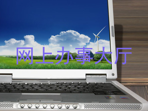 网上办事大厅