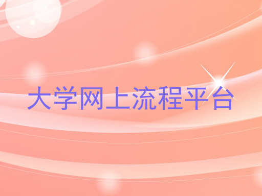大学网上流程平台