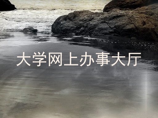 大学网上办事大厅