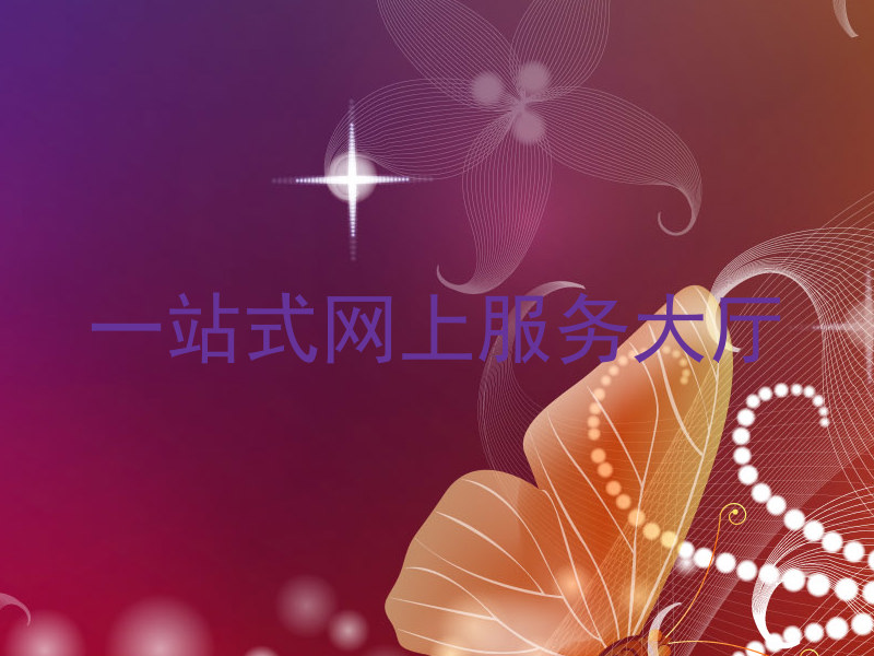一站式网上服务大厅
