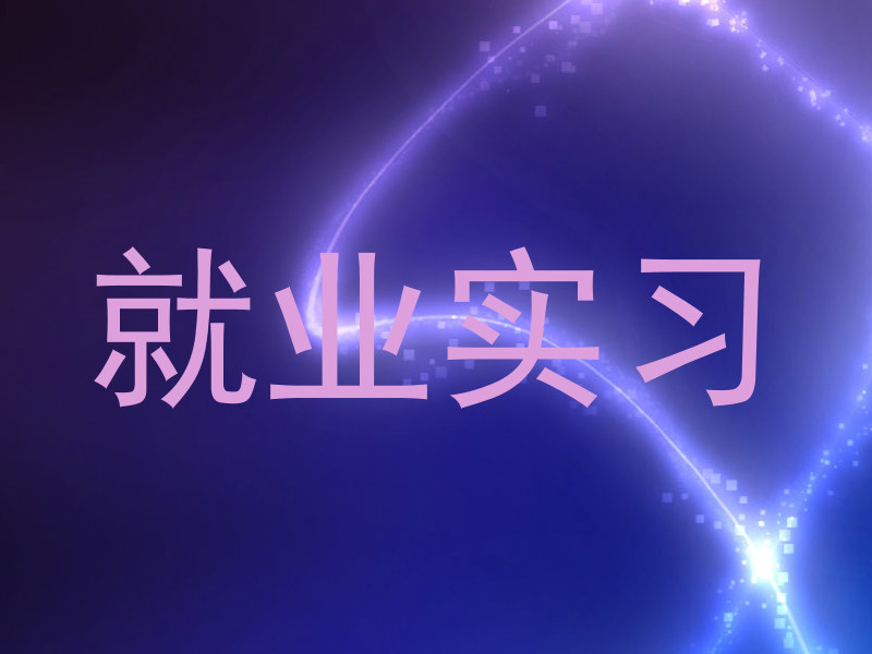 就业实习