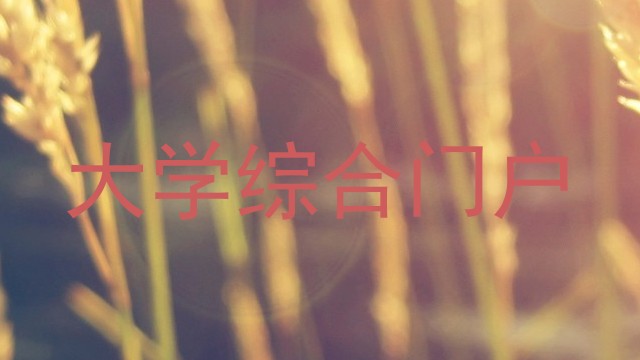 大学综合门户