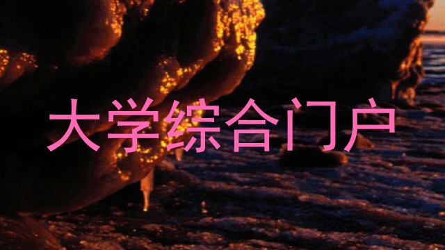 大学综合门户