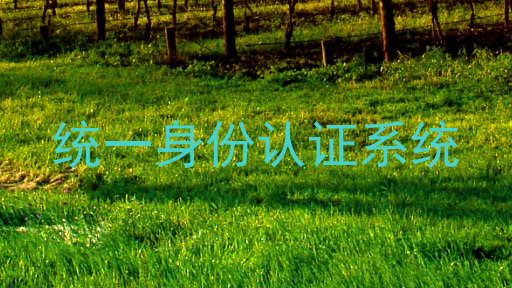 统一身份认证系统