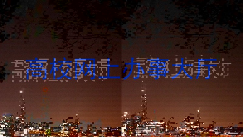 高校网上办事大厅