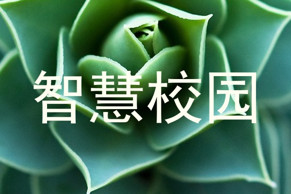 智慧校园